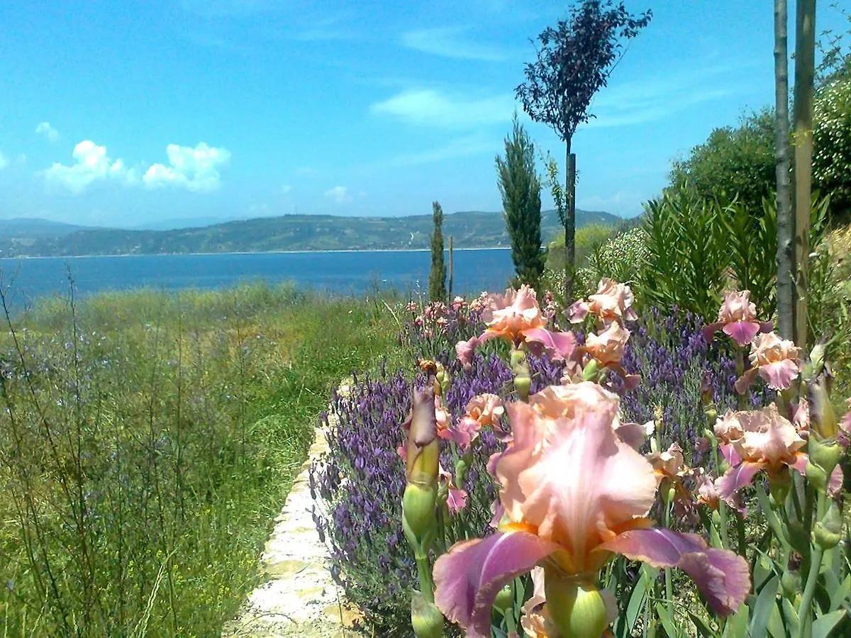 Marvelous Sea View Eco Studio Αμμουλιανή Σπίτι διακοπών