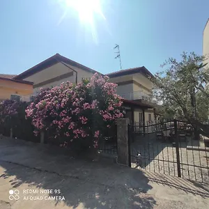Nafsika Αμμουλιανή